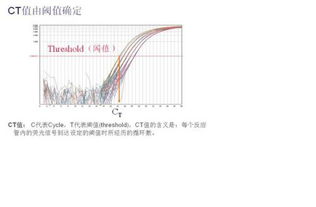 荧光定量PCR检测时的CT值怎么确定的