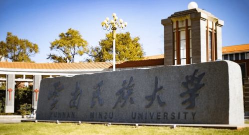 大理大学王牌专业有哪些 大理学院2022年录取分数线是多少