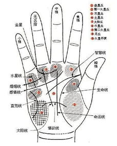 四种最具富贵命的手相 富贵手相图解大全