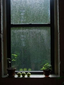 有雨敲窗,心却静如止水 