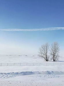 大雪时节,教你拍出漂亮的雪景照