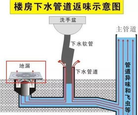 厨房下水管道臭气熏天 用这东西立马解决,神奇