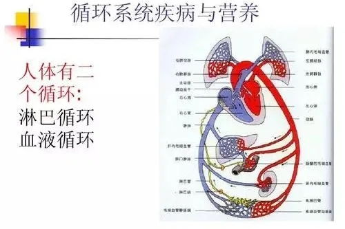 淋巴是人体最大的排毒系统,这样做一次灸通,百病不生