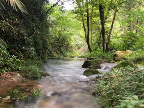 6.20周末探秘大峡谷 徒步红尘中方坑 永康大峡谷