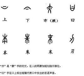 汉字造字 象形,指事,会意,形声是什么意思,详细结合具体汉字说明运用什么造字方法,为什么,怎么判断 