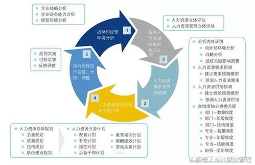 人力资源规划方案