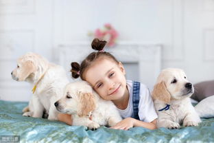 兽医警告 孩子和狗狗相处时,千万不要做这7件事