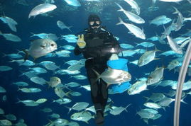 上海海洋水族馆 清凉避暑 