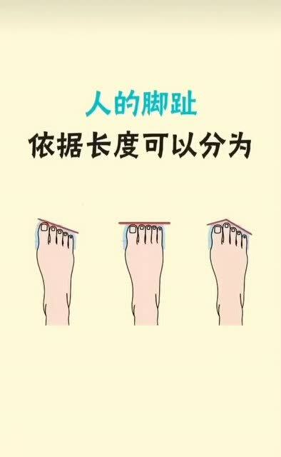 人体肢体的冷知识(人体的肢体包括哪些)(人体肢体名称)