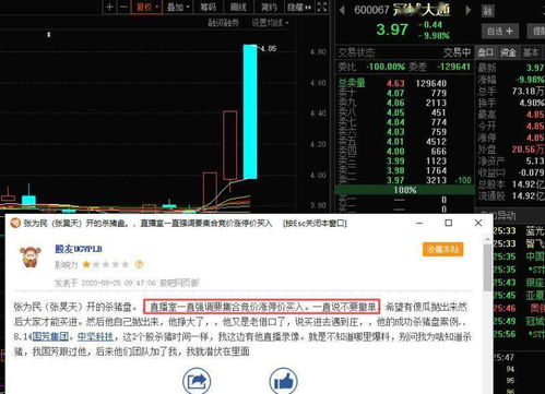 股票专业人士帮分析下600739辽宁成大33.8元能否下周解套?下周应该怎么操作