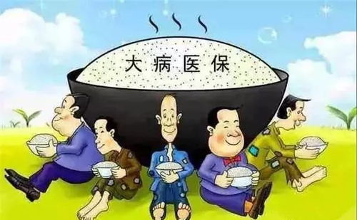 金华东阳大病医疗保险东阳市社保扣费时间