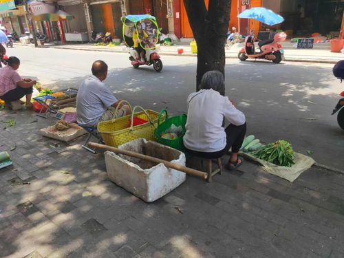 宾阳街头老人摆摊卖菜,你会因同情而买单吗