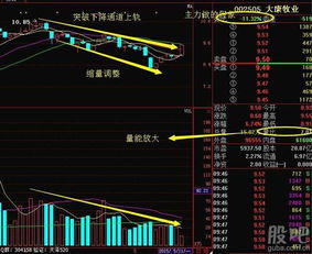 什么网站能查询主力的动态