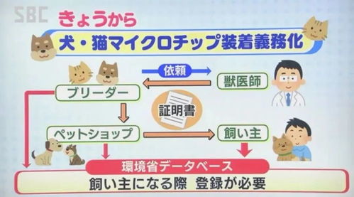 科幻电影已走进现实,日本修订 新动物法 ,出售宠物需植入芯片