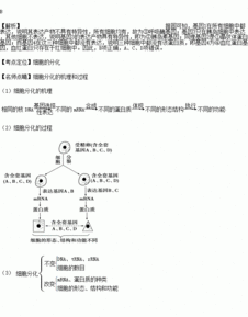 如何通过qPCR比较不同基因的表达