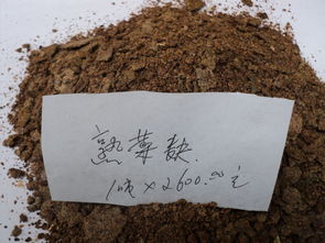 咖啡渣还有哪些妙用 咖啡渣怎么发酵做肥料