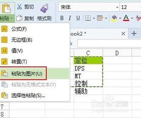 WPS表格如何使用粘贴为图片功能截图
