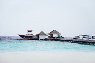 马尔代夫六星岛跟团游报价及攻略超值优惠等你来！（马尔代夫六星岛屿）