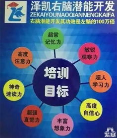 承德泽凯右脑 开发右脑最简单有效的三种方法 