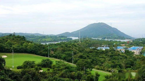 <a href='http://sz.ptotour.com/around/cs/shenzhen/'  target='_blank'>深圳</a>2号绿道徒步 盐田驿站到小梅沙