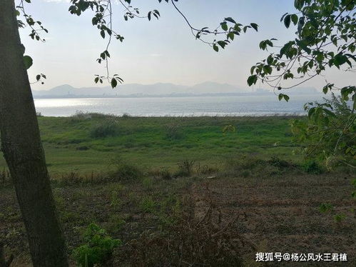 如何看坟墓风水吉凶 王君植风水大师湖北实拍长江逆水龙,严家旺财墓地风水