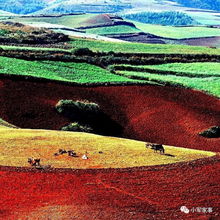 中国5月最美秘境 东川红土地,苍穹下的人间彩虹 周末