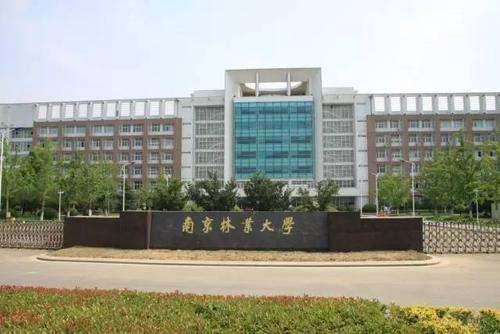 南京林业大学中外合作办学 南京林业大学2022年分数线