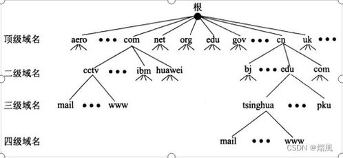 Dns域名解析服务器