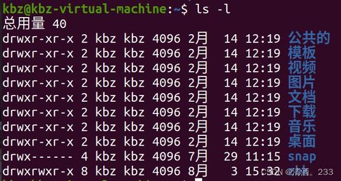 47.Linux学习day01 基础命令详解1