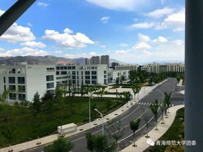 青海省都有哪些大学