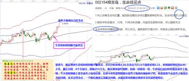 报喜鸟002154。这只股有远望吗