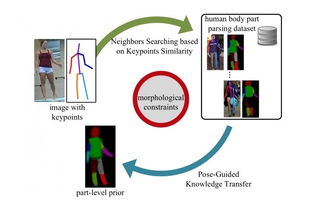 上海交通大学CVPR Spotlight论文 利用形态相似性生成人体部位解析数据 CVPR 2018 