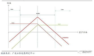 涨跌期权买去跨式组合什么意思