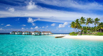 马尔代夫哪些深潜好的岛屿最值得一去
