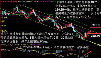 各位专家麻烦告诉我一条既可以代表动能有可以表明趋势的指标水平位20和80怎么设置在MT4平台上。。