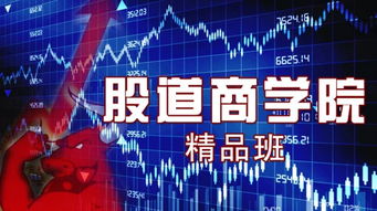 股道先机团队实力怎么样?