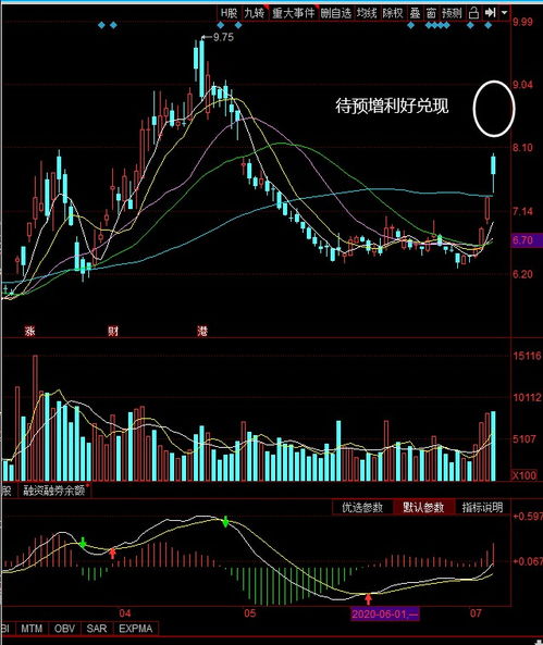 介绍两只能涨的股票