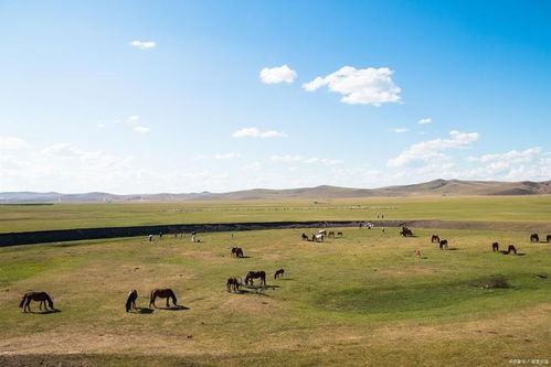 新疆和内蒙古哪个面积大,谁的5A级景区更多一些