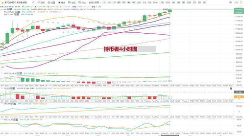 二月份比特币的价格,比特币行情分析及最新消息