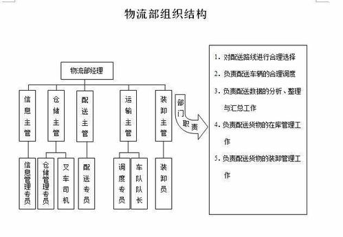 组织管理 部门组织结构案例