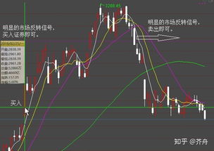 懂得股市规则的请进