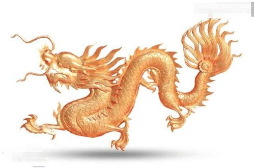 为什么中国不敢公布发现龙的痕迹, 东北真的发现过龙的遗体