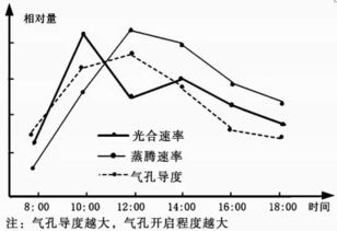 生理上的哪些因素会导致恐惧的产生？