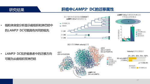 答辩完论文查重没过