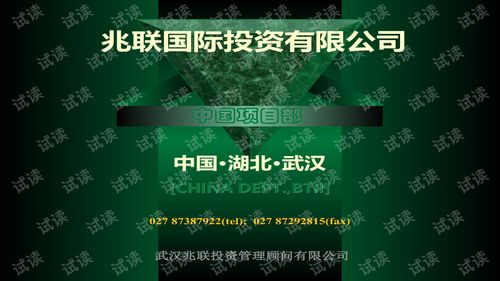 兆联公司与融资项目策划业务介绍商业计划书精品模板.ppt