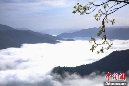 甘肃两当 彩色云海 波起峰涌 色域 撩人