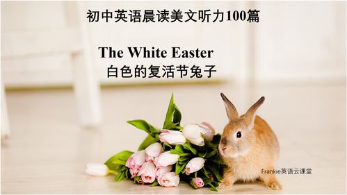 初中英语晨读美文听力100篇 白色的复活节兔子 