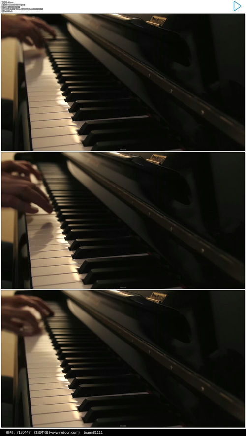 弹钢琴实拍视频素材