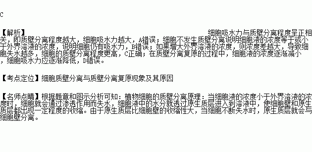 细说质壁分离