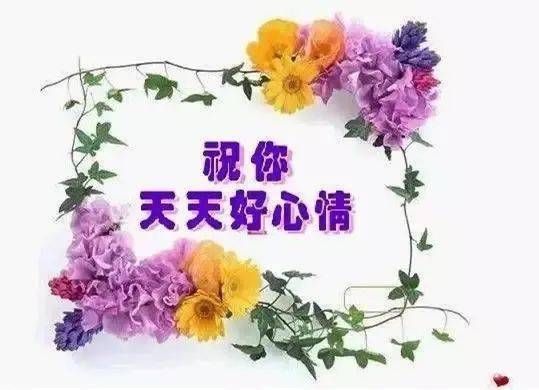 清晨,问候